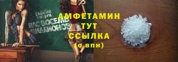 ALPHA PVP Инсар