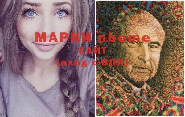 ALPHA PVP Инсар