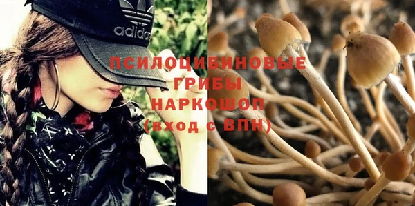 дурь Тихвин