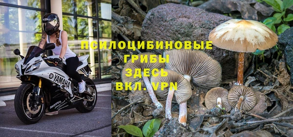 jwh Иннополис