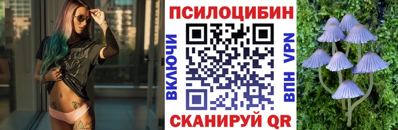 Галлюциногенные грибы Psilocybe  Купить  Киреевск 