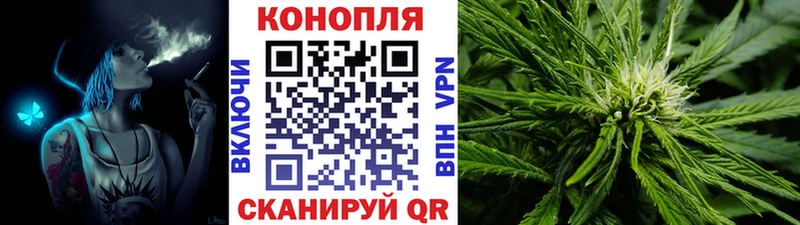 Купить закладки  Киреевск  Бошки Шишки семена 